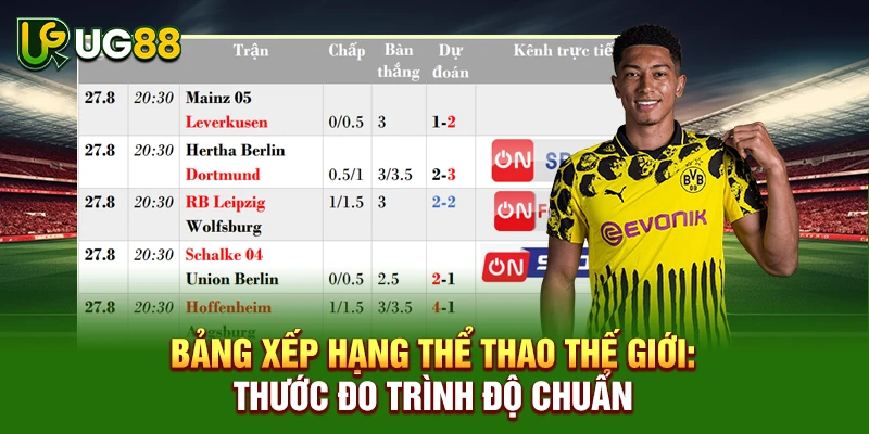 Bảng Xếp Hạng Thể Thao