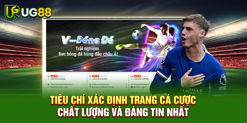 Tiêu chí xác định trang cá cược chất lượng và đáng tin nhất