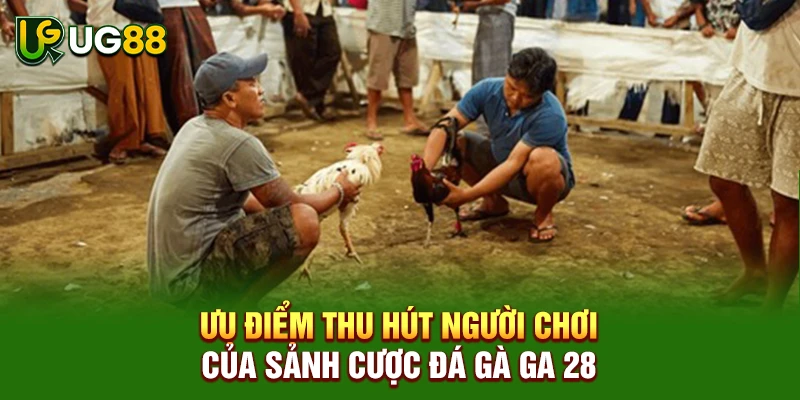 Ưu điểm thu hút người chơi của sảnh cược đá gà GA 28