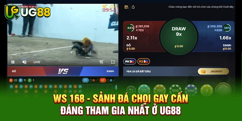 WS 168